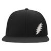 Picture of Grateful Dead Thunderbolt Side Logo Embroidered Flexfit Hat