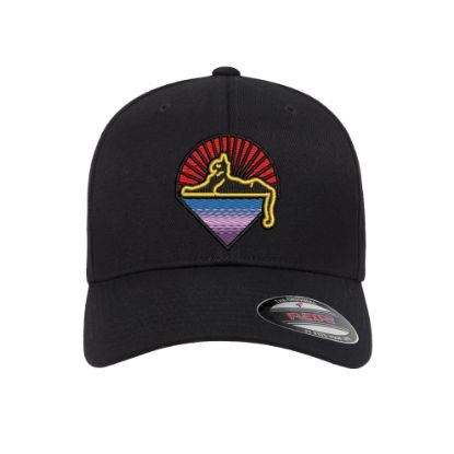 Picture of Grateful Dead Cats Under The Stars Logo Embroidered Flexfit Hat