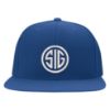 Picture of Sig Sauer Round Logo Embroidered Flexfit Hat