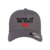 Picture of Clean Up On Aisle 46 Logo Embroidered Flexfit Hat