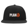 Picture of Plan B Bitcoin Logo Embroidered Flexfit Hat