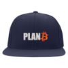 Picture of Plan B Bitcoin Logo Embroidered Flexfit Hat