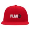 Picture of Plan B Bitcoin Logo Embroidered Flexfit Hat