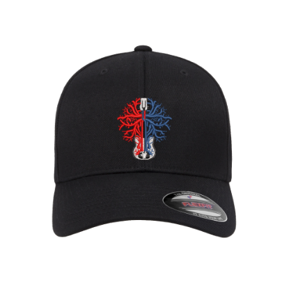 Picture of Grateful Dead Jerry Garcia Gov't Mule Guitar Logo Embroidered Flexfit Hat