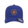 Picture of Grateful Dead Sunshine Daydream Logo Embroidered Flexfit Hat