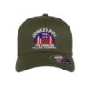 Picture of Donkey Pox The Disease Killing America Logo Embroidered Flexfit Hat